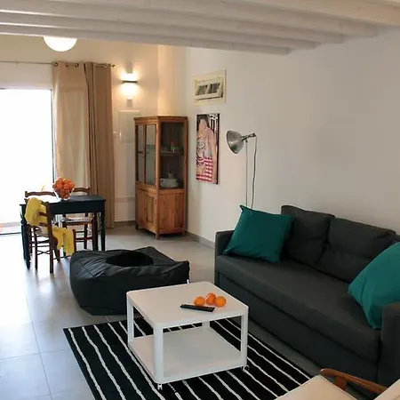 Living Downtown Apartment